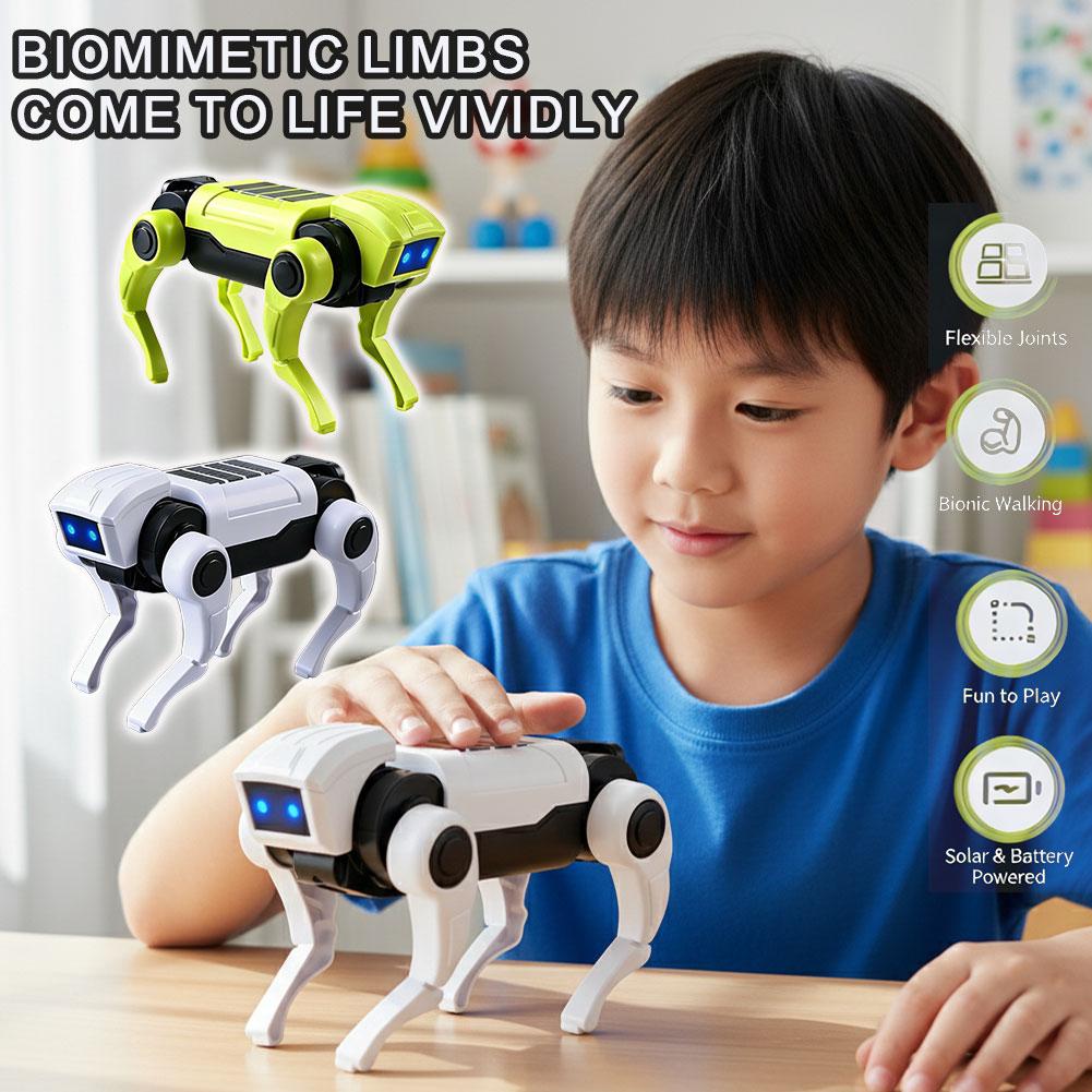 DIY Assembly RC Robot Dog Toy  - Diy Robot Electronics Kit review and price