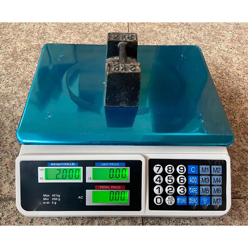 Stainless Steel Electronic Sca - Diy Electronics Store review and price